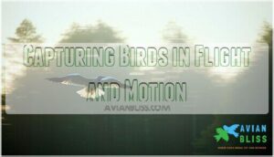 capturing birds in flight and motion