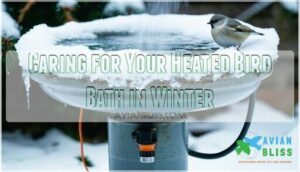 caring for your heated bird bath in winter