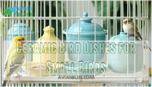 ceramic bird dishes for small birds