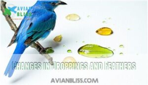 changes in droppings and feathers
