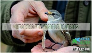 checking for visible injuries checking for visible injuries