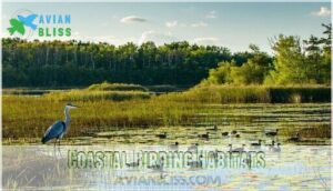 coastal birding habitats