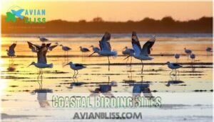 coastal birding sites