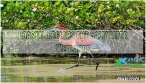 coastal regions and saltwater wetlands