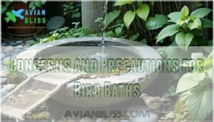 concerns and precautions for bird baths