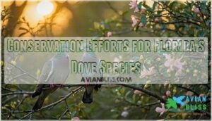 conservation efforts for florida's dove species