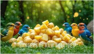 dangers of raw potatoes