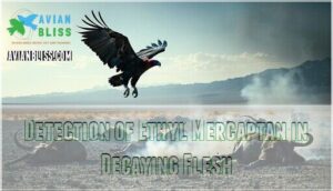 detection of ethyl mercaptan in decaying flesh