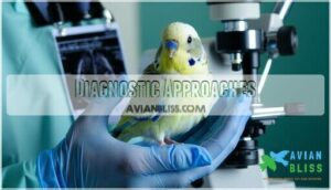 diagnostic approaches