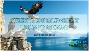 different types of eagles
