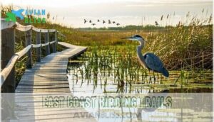 east coast birding trails