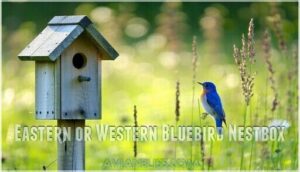 eastern or western bluebird nestbox