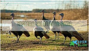 eastern shore of virginia