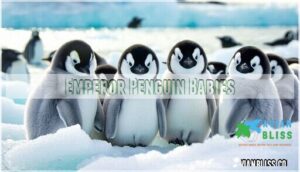 emperor penguin babies