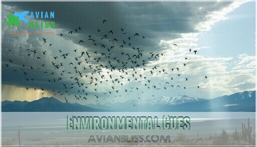 Beautiful view of Avian Environmental Systems