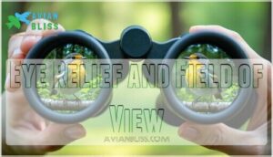 eye relief and field of view