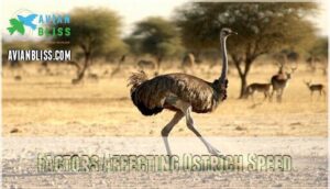 factors affecting ostrich speed factors affecting ostrich speed