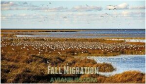 fall migration
