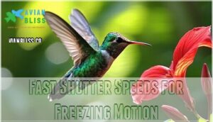 fast shutter speeds for freezing motion