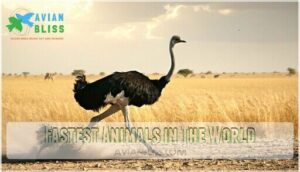 fastest animals in the world fastest animals in the world