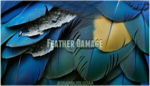 feather damage