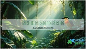 finding exotic birds