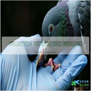 following veterinarian guidance