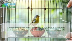 frequency of feeding small birds