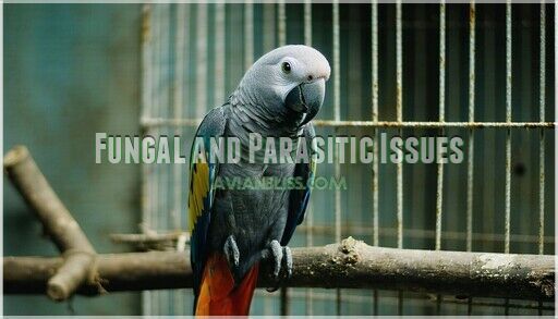 Parrot Disease Diagnosis Tips: Common Symptoms and Prevention
