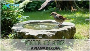 ground bird baths ground bird baths