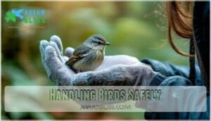 handling birds safely handling birds safely