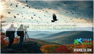 hawk mountain sanctuary