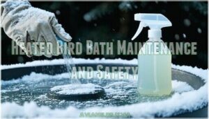 heated bird bath maintenance and safety