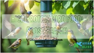 high protein bird food