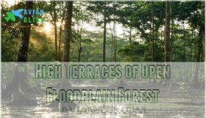 high terraces of open floodplain forest