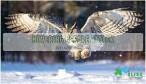 hovering before attack