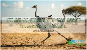 how fast can ostriches run how fast can ostriches run