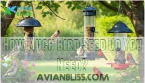how much bird seed do you need
