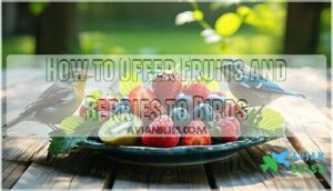 how to offer fruits and berries to birds