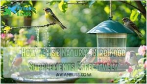 how to use natural bird food supplements effectively