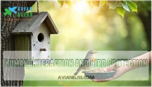 human interaction and bird protection human interaction and bird protection