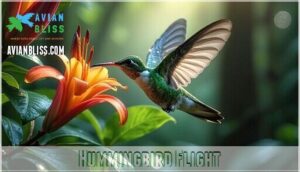 hummingbird flight