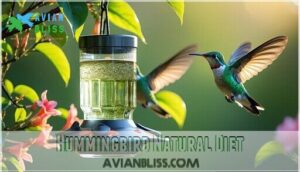 hummingbird natural diet