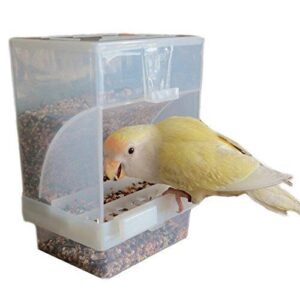 Hypeety Automatic Bird Feeder No B07FXCH7FL