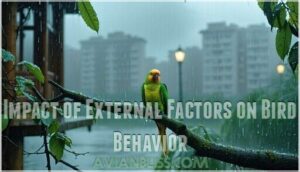 impact of external factors on bird behavior