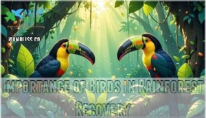 importance of birds in rainforest recovery