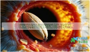 inhaled foreign objects