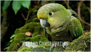 kakapo conservation