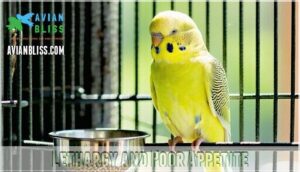 lethargy and poor appetite