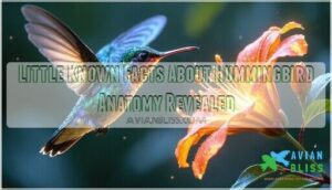 little known facts about hummingbird anatomy